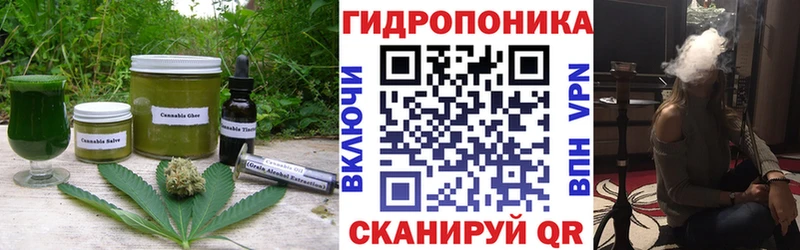 закладки  Циолковский  Еда ТГК конопля 