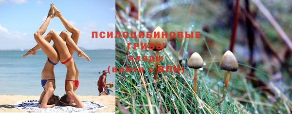 2c-b Алексеевка