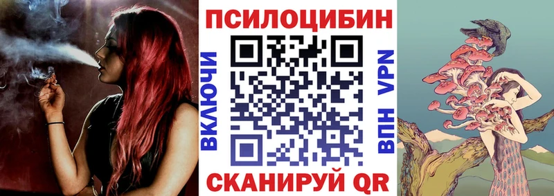 Галлюциногенные грибы мицелий Циолковский
